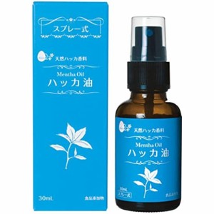 食品添加物 ハッカ油スプレー 30ml【小堺製薬】