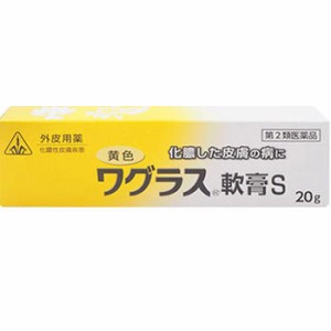 【第2類医薬品】ホノミ漢方薬 黄色ワグラス軟膏 20g【剤盛堂薬品】【メール便送料無料】