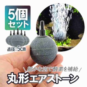 錦鯉 水槽の通販｜au PAY マーケット