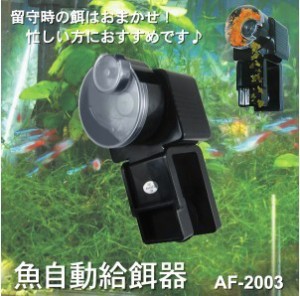 留守時でも安心！大切なお魚の餌やりはおまかせ！魚自動給餌器◇outofeed2003