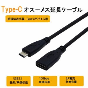 Type-C端子 延長ケーブルUSB3.1 データケーブル Type-C延長ケーブル Type-Cオス→メス延長ケーブル 0.5m WYTPC05M