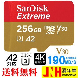 microSDXC 256GB SanDisk UHS-I U3 V30 A2 4K R:190MB/s W:130MB/s Nintendo Switch対応 SDSQXAV-256G-GN6MN マイクロSDカードmicroSDカ