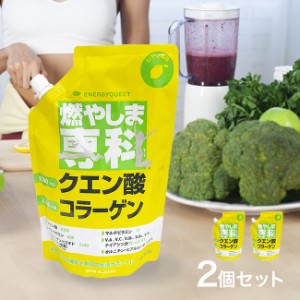 燃やしま専科 レモン風味 500g《2個セット》(日本製 クエン酸 コラーゲン ドリンク 粉末 トレーニング 筋トレ 栄養補給 スポーツ)