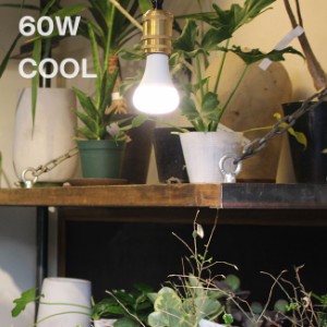 プランツライト 60 COOL 003382(植物育成ライト LEDライト 植物 電球 室内 家 お店 観葉植物 水耕栽培 明るさ 昼白色) 即納