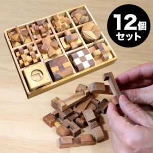ロックスモーション ウッドパズル 12個セット(木製 立体パズル 大人 子供 高齢者 知育 おもちゃ 脳トレ 立体 パズル 脳)