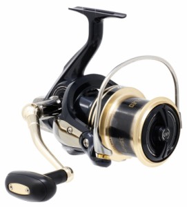 ダイワ（Ｄａｉｗａ） リール　ウインドキャスト　４０００ＱＤ　スピニングリール