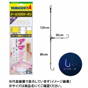 ヤマシタ　アマダイ仕掛　ＡＭＤ２Ｅ　４−３−３