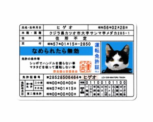 なめ猫 ステッカー かわいい レトロ 昭和 懐かしい 猫 グッズ 免許証03 ヒゲオ
