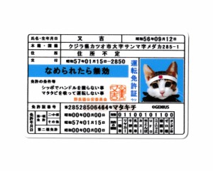 なめ猫 ステッカー かわいい レトロ 昭和 懐かしい 猫 グッズ ダイカットミニステッカー 免許証 又吉