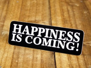 ステッカー ヘルメット 車 アメリカン おしゃれ バイク HAPPINESS IS COMING! 幸運が舞い込んできた！＿SC-241-GEN