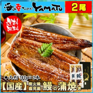 専用化粧箱入 炭火焼 特大 鰻の蒲焼 長焼き 1枚180g×2本 鹿児島産 安全・安心の無投薬育成 国産 うなぎ ウナギ 土用丑の日 父の日 母の