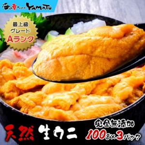 天然生ウニ100g×3パック ミョウバン不使用完全無添加 うに 雲丹 海鮮丼 寿司 お年賀 60代 70代 内祝い グルメ 贈答 海鮮 お中元 お歳暮 