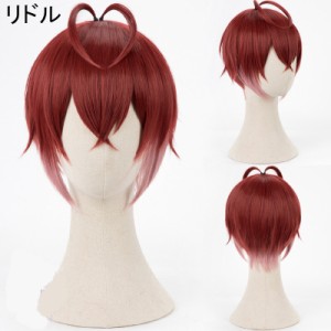 ツイステッドワンダーランド ツイステ ハーツラビュル寮 リドル・ローズハート コスプレウィッグ  ネット付き wig [CRS2353]