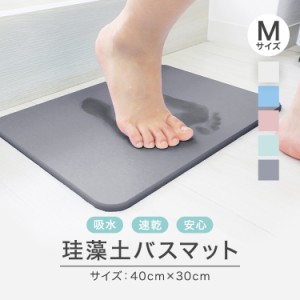 【ノンアスベスト】 珪藻土 バスマット 珪藻土バスマット Mサイズ 40cm 珪藻土マット さらさら 足拭きマット 足ふきマット お風呂マット 