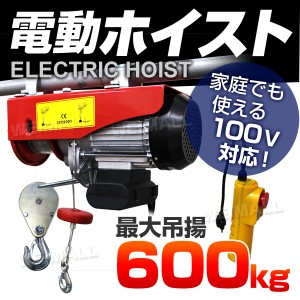 電動 ウインチ 100vの通販｜au PAY マーケット