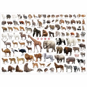 お風呂に貼れる 迫力の特大ポスター お風呂に貼れる 動物大全ポスター 103種類 (H594×W841mm ) A1サイズ インテリア 動物園 どうぶつ