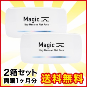 ワンデーメニコンマジック 30枚入り 2箱 メニコン コンタクト コンタクトレンズ 1day ワンデー 使い捨て 送料無料