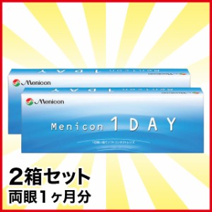 メニコンワンデー 2箱 メニコン コンタクト コンタクトレンズ  送料無料