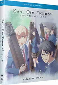 この音とまれ！ 第1期 全13話BOXセット  ブルーレイ【Blu-ray】