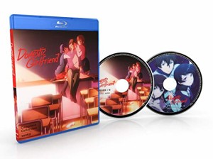 ドメスティックな彼女 全12話BOXセット ブルーレイ【Blu-ray】