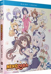 ネコぱら 全12話BOXセット  ブルーレイ【Blu-ray】