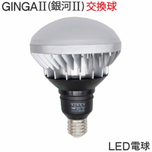 投光器 電球 交換 led 電球 100v GINGA2 50W 屋外用 超高輝度 口金E39 作業灯 ワークライト 照明 ライト 建築現場 アウトドア