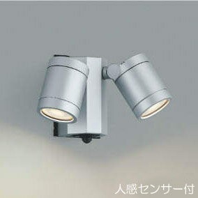 屋外 照明 スポットライト  LED一体型 人感センサー付 タイマー付 ON-OFFタイプ 広角 防雨型 高さ113×幅直径70 照明器具