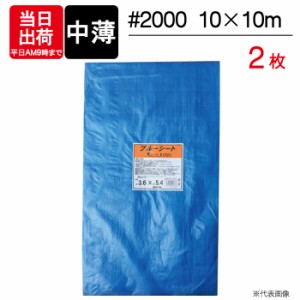 ブルーシート 中薄 10×10m #2000 2枚単位 BS-1010K レジャー シート 敷物 ござ 災害 台風 防災 養生 対策 運動会 行楽 花見 海水浴 キャ