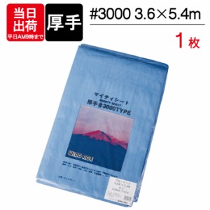 ブルーシート 厚手 5.4×3.6m #3000 1枚単位 レジャー シート 敷物 ござ 災害 台風 防災 養生 対策 運動会 行楽 花見 海水浴 キャンプ テ