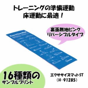 エクササイズマット H-9285 トーエイライト 準備運動 床運動 リバーシブル 高齢者 便利 コンパクト プレゼント 贈り物