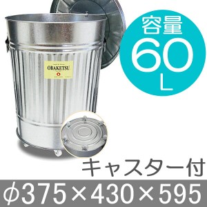 ゴミ箱 ごみ箱 バケツ ふた付き OBAKETSU オバケツ 容量60リットル キャスター付 大容量 おしゃれ キッチン リビング 庭 屋外 ガーデン