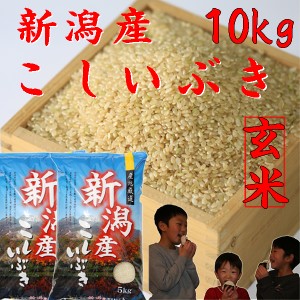 米 玄米 10kg 令和5年 新潟産 こしいぶき 10kg 農家直送《美味しいお米 安い米 玄米 お米 お米10kg 米 安い玄米５キロ×２袋 美味しいお