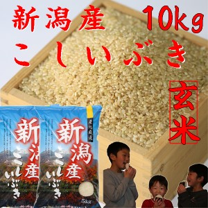 新米 玄米 10kg 令和6年 新潟産 こしいぶき 10kg 農家直送《美味しいお米 安い米 玄米 お米 お米10kg 米 安い玄米５キロ×２袋 美味しい