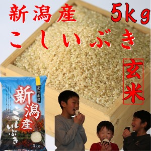新米 5kg 玄米 5kg 令和5年 新潟産 こしいぶき５kg 玄米５キロ 農家直送 お米 5kg 安い玄米5キロ 美味しいお米 農家