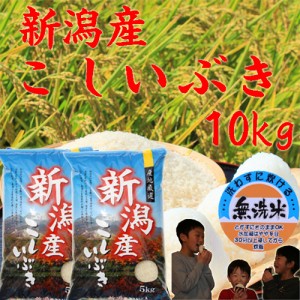 新米 令和6年 新潟産 こしいぶき 無洗米 10kg 5kg×2袋 送料無料 お米 10キロ 米 ギフト 送料無料 米10キロ《無洗米 10キロ お米 10kg 安