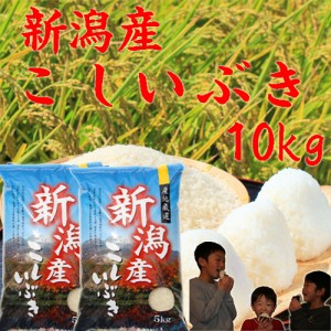 令和5年 新潟産 こしいぶき 10kg 5kg×2袋 送料無料 お米 10kg 新潟県産 米 10キロ 送料無料 お米１０キロ お米 10kg 安い米 美味しいお