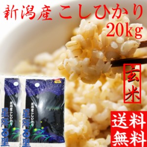 新米 玄米 20kg 送料無料 令和5年 新潟産 コシヒカリ 玄米20キロ 送料無料 お米 20kg 玄米２０キロ 送料無料 農家直送  コシヒカリ 20kg 