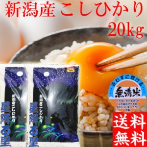 令和5年 新潟産 コシヒカリ 無洗米 20kg 送料無料 米 新潟 こしひかり お米 新潟県産 コシヒカリ２０キロ 送料無料 《お米 無洗米 お米 2