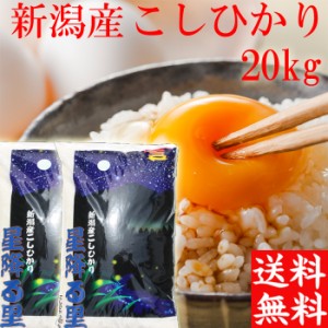 新米 令和6年 新潟産 コシヒカリ 20kg 送料無料 新潟 米 10kg×2袋 白米20キロ 送料無料 新潟県産 こしひかり 20キロ 10キロ×2袋 お米 