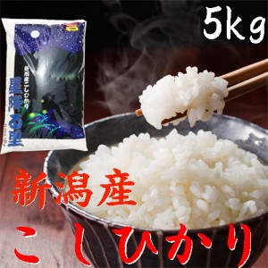 新米５キロ 令和6年 新潟産 コシヒカリ 5kg 新潟産 こしひかり5kg 《白米5キロ お米 コシヒカリ5kg 白米 5kg 美味しいお米 農家直送 1分