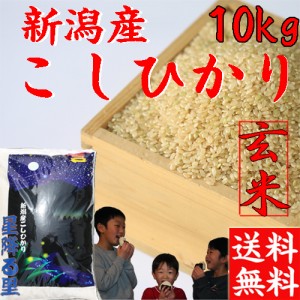 米 玄米 10kg 送料無料 令和5年産 新潟産 コシヒカリ 玄米10キロ 送料無料 お米 10kg こしひかり 10キロ 玄米10キロ 送料無料 農家直送  