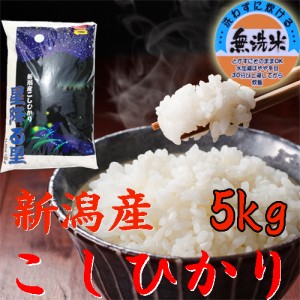 新米 令和5年 新潟産 コシヒカリ 5kg 無洗米 新潟県産 こしひかり５キロ 無洗米《お米 お米5キロ 安い 5キロ こしひかり コシヒカリ5kg 