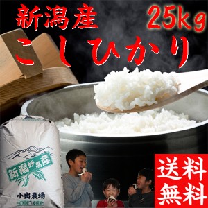 新米 令和5年 新潟産 コシヒカリ 送料無料 25kg 米 お米 新潟県産こしひかり 25キロ 送料無料 お得米 新潟米 コシヒカリ 25kg 《送料無料