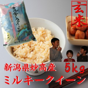 新米 令和5年 新潟産 ミルキークイーン 玄米 5kg ミルキークイーン玄米《お米 5kg 安いミルキークイーン 5キロ モチモチのお米 玄米 》