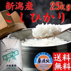 コシヒカリ 無洗米 送料無料 新米 令和5年 新潟産 コシヒカリ 25kg お得 無洗米 新潟米 コシヒカリ 無洗米 25kg《お米 ２５キロ 無洗米 