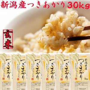 玄米 令和５年産 新潟県産 つきあかり 玄米 30kg 送料無料 5kg×6袋 玄米30kg 新潟米 新潟県産 玄米 お米 玄米30kg 安い 5キロ 農家