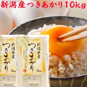 米 10kg 令和５年 新潟産 つきあかり 白米10キロ（5kg×2袋）米 10キロ 安い 《白米 10kg 農家直送 産地直送 白米 精白米 分づき 新潟産1