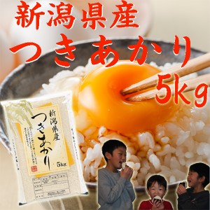 米 5kg 令和5年 新潟産 つきあかり 5kg 新潟県産 お米5kg 白米 農家直送 お米 5キロ 安い 新潟米５キロ《白米5キロ 米5kg 白米 分づき  