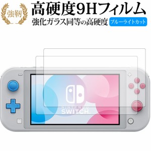 Nintendo Switch Lite ザシアン・ザマゼンタ 2枚組 専用 強化 ガラスフィルム 同等 高硬度9H ブルーライトカット クリア光沢 改訂版 液晶