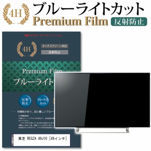 東芝 REGZA 49J10 49インチ 機種で使える ブルーライトカット 反射防止 液晶TV 保護フィルム メール便送料無料